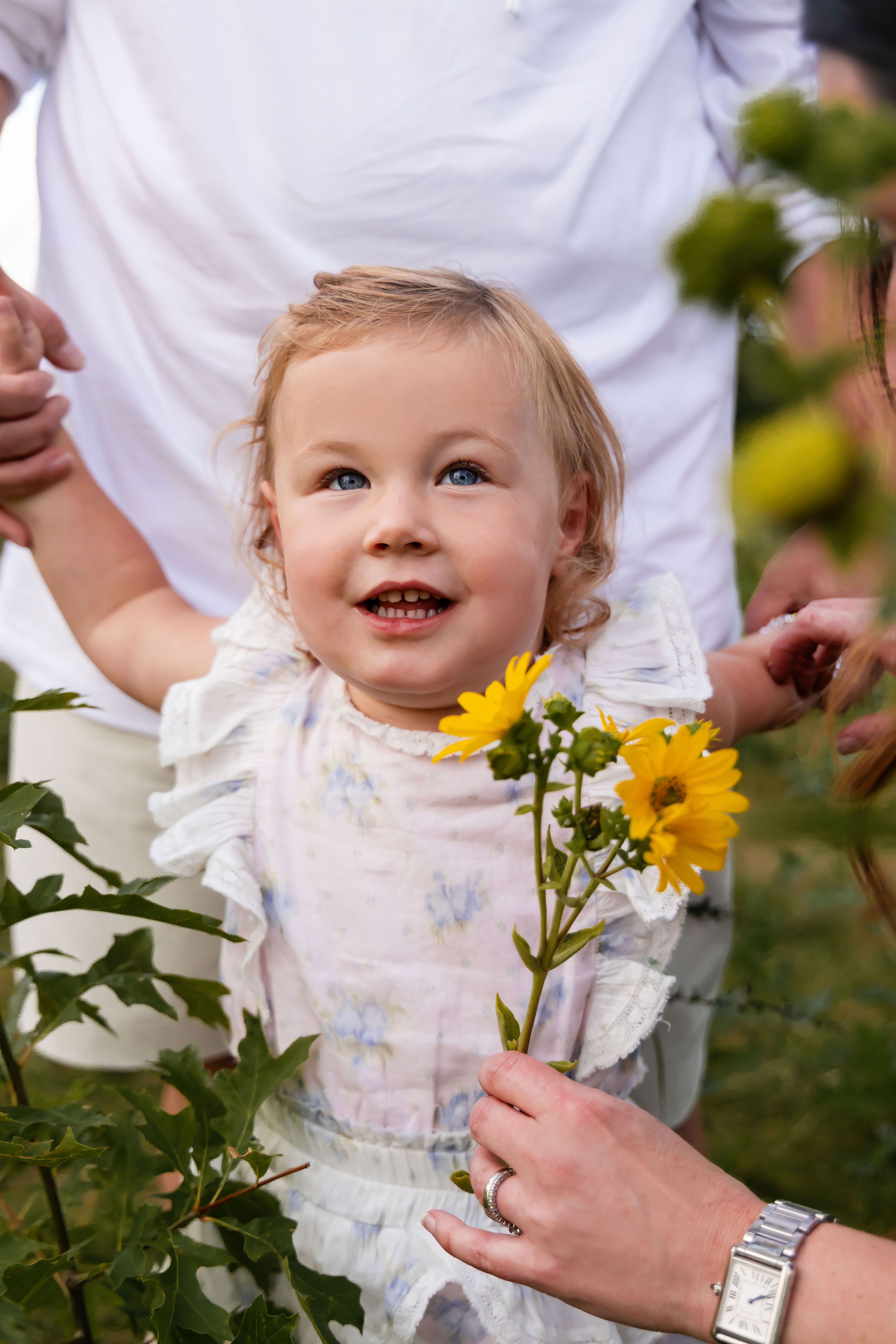 Young girl smiling while holding a yellow wildflower during a Cleveland family photography session